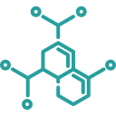 enzyme